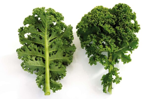 Kale