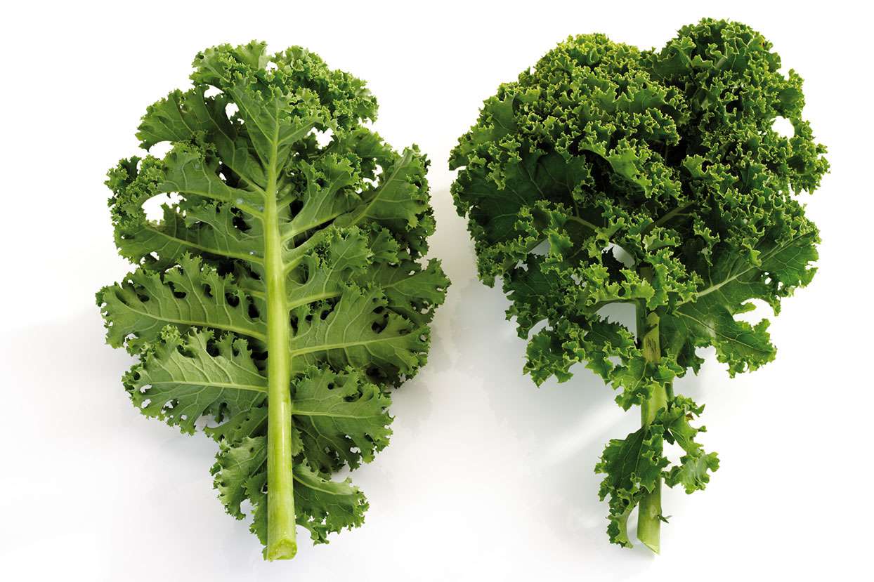 Kale