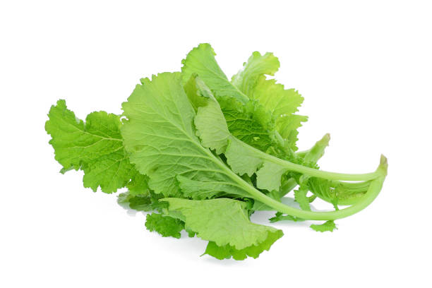 Mustard Greens